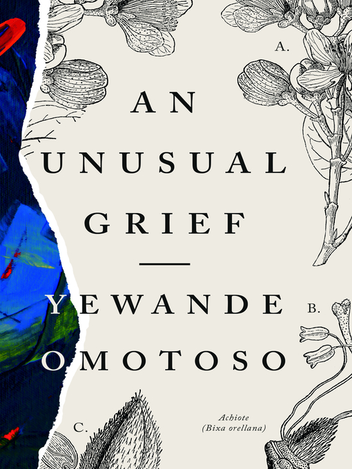 Title details for An Unusual Grief by Yewande Omotoso - Wait list